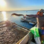 Mensagem presidencial destaca avanços da pesca e da aquicultura na abertura do ano legislativo Mensagem presidencial destaca avanços da pesca e da aquicultura na abertura do ano legislativo