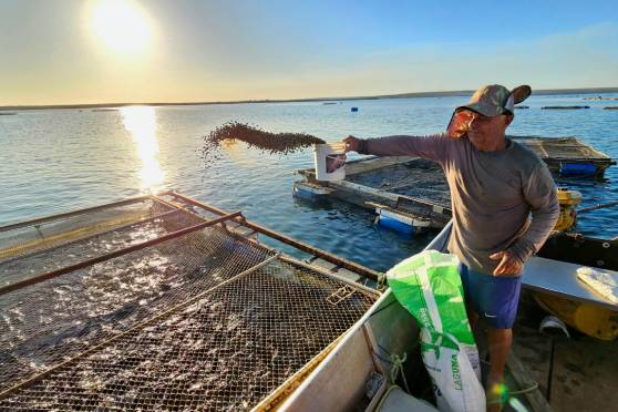 Mensagem presidencial destaca avanços da pesca e da aquicultura na abertura do ano legislativo